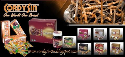 3.3 target market 3.4 competition 3.5 sales forecast 3.6 strategy 4.0 conclusion 5.0 reference. Cordysin - One World One Brand: PROFIL SYARIKAT - CordySin ...