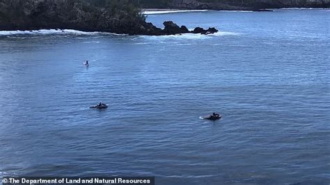 Hawaiian Surfer 56 Dies One Day After He Was Attacked By Shark In Honolua Bay That Left A
