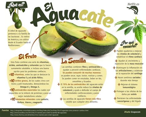 ¿qué Es El Aguacate Y Cuales Son Sus Beneficios Infografías Y Remedios