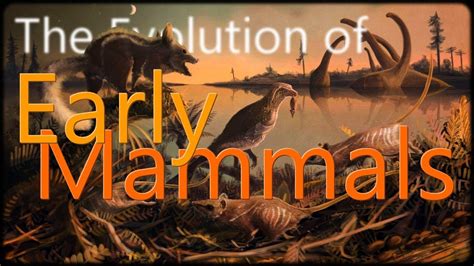 The Evolution Of Early Mammals Youtube
