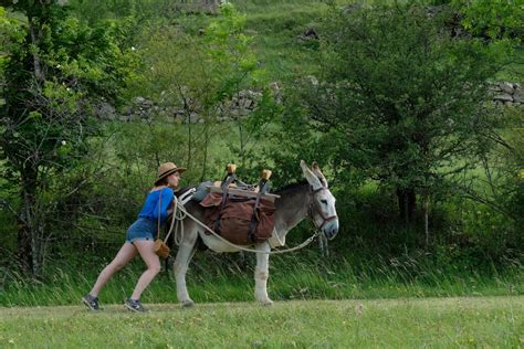 Antoinette dans les cévennes fait partie de la sélection officielle du festival de cannes 2020. Antoinette dans les Cévennes | Transhumances