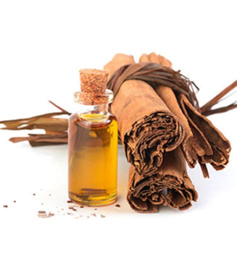 Ceylon Cinnamon Bark Oil