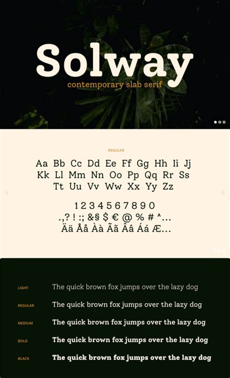 Solway Contemporary Slab Serif Font Bypeople