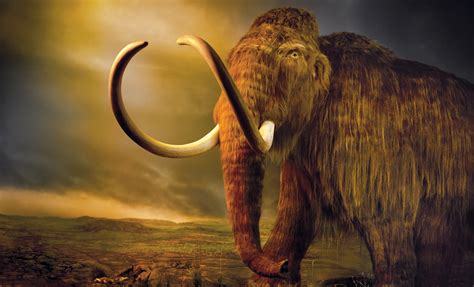 The Mammoth Cometh The New York Times