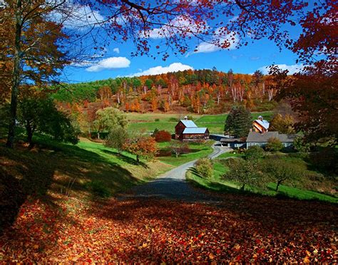 Vermont Autumn Colors Sleepy Hollow Farm 11 X 14 Print Woodstock