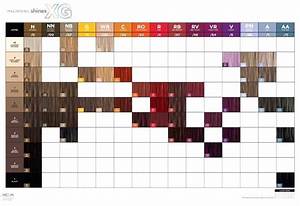 Schwarzkopf Hair Colour Shades Royal Absolutes Assortment Color Chart