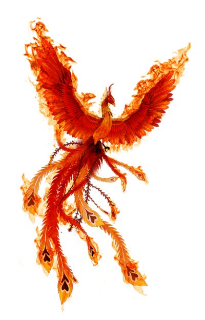Phoenix Bird Png