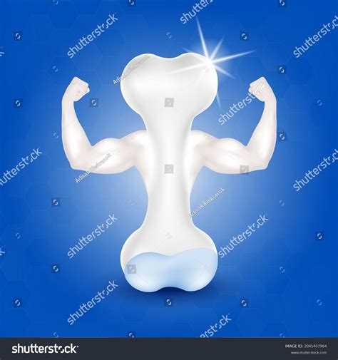 Healthy Bone Full Calcium Arms Showing Stock Vector Royalty Free