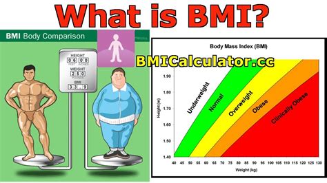 Formula Of Body Mass Index