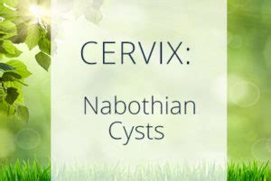 Nabothian Cysts Benign Growths On The Cervix Advanced