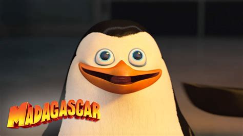 The Penguins Of Madagascar Privates Best Moments Mini Moments