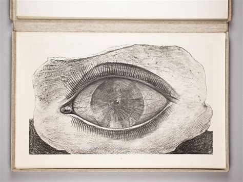 Max Ernst Histoire Naturelle Large Portfolio N° 348350 Catawiki