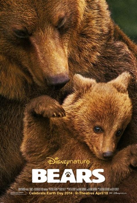 Affiche Du Film Grizzly Photo 72 Sur 73 Allociné