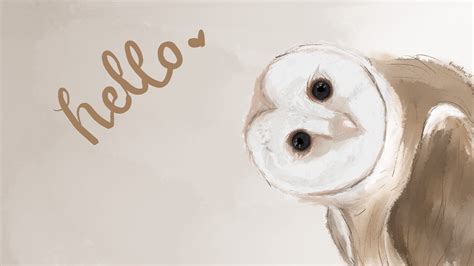 Desktop Wallpaper Hd Owl Wallpaper Cute Owls Wallpaper Owl