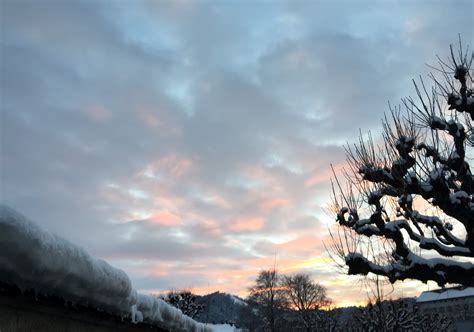 Fotos Gratis árbol Naturaleza Montaña Nieve Invierno Nube