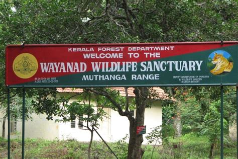 10 Best Wildlife Sanctuaries In India Bucket List For 2024