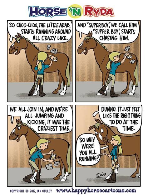 125 Best Horsey Humor Images On Pinterest Pferde Pferde Zitate Und