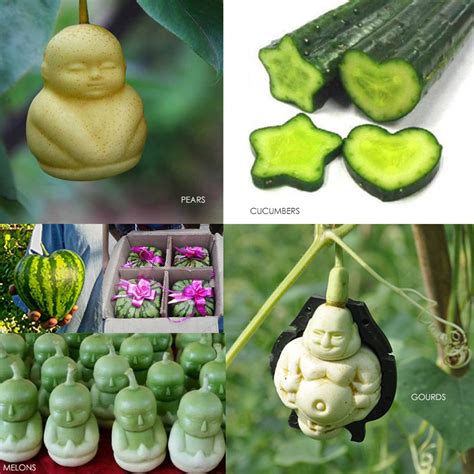 Grow Your Own Fun Shaped Fruit With These