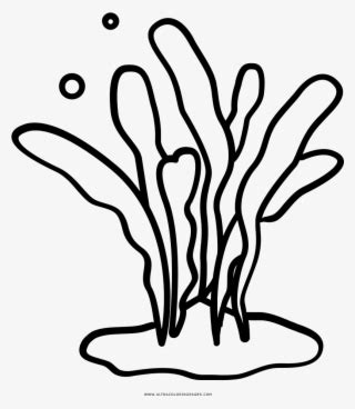 236 x 177 file type: Clown Coloring Page - Sombrero De Payaso Para Colorear PNG ...