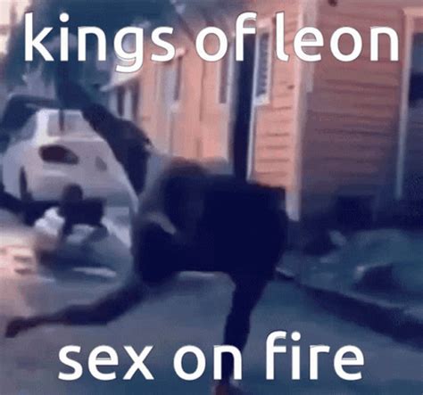Kings Of Leon Sex On Fire Gif Kings Of Leon Sex On Fire Kings Of Leon Sex On Fire Discover