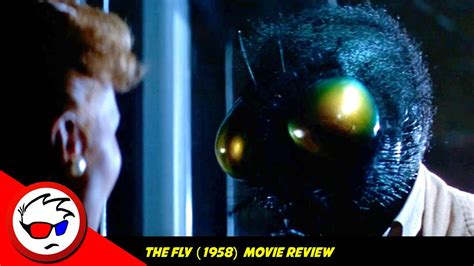 The Fly 1958 Why Does This Movie Hate Cats So Much Youtube