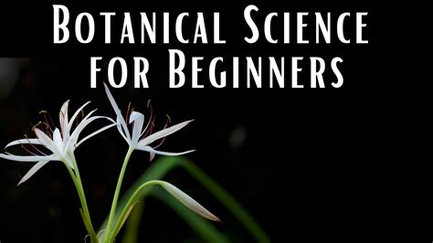 Botanical Science For Beginners Youtube