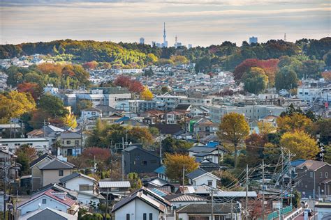 埼玉県所沢市のおすすめピアノ教室、評判の5選！！ ピアノの参考書｜各地域のおすすめ・評判のピアノ教室紹介