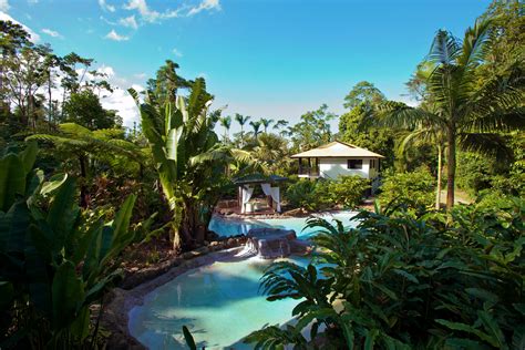 Tropical Garden Landscaping Services in Brisbane, Queensland, AU