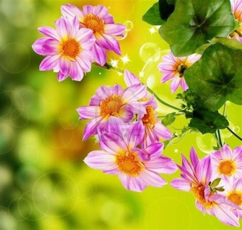 Most Beautiful Flowers Wallpapers For Desktop Wallpaper Cave 25f