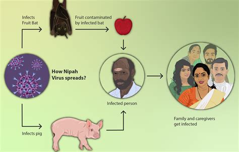 Nipah virus was first recognized in 1999 during an outbreak among pig farmers in, malaysia. Top class trolling in Wiki. The patient is supposed to ...