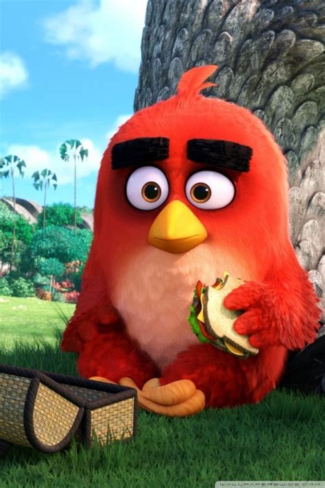21 Angry Birds Movie Red Wallpapers