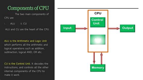 Components Of Cpu And Their Functions Youtube