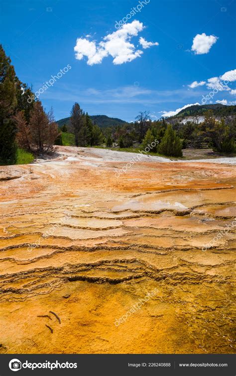 Mammoth Hot Springs In Yellowstone National Park ⬇ Stock Photo Image