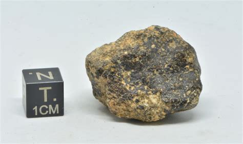 Dhofar 007 2305g Explore Meteorite