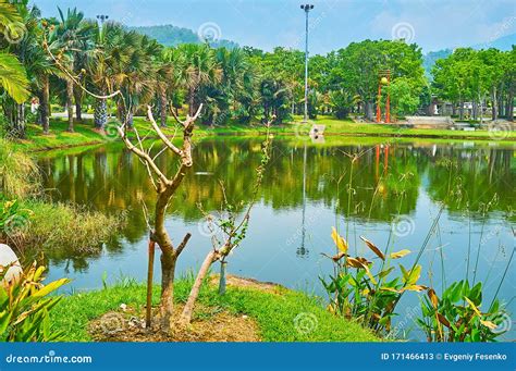 The Lake In Rajapruek Park Chiang Mai Thailand Stock Image Image Of
