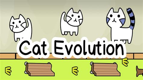 Cat Evolution Android Gameplay Hd Youtube