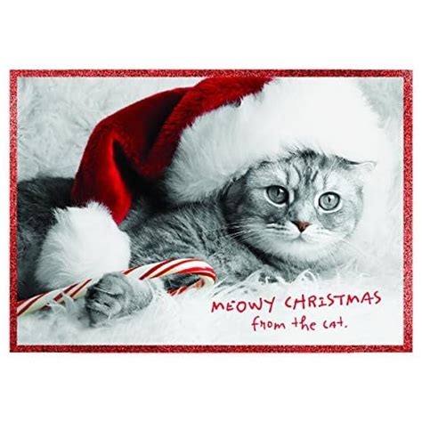 Graphique Holiday Cats Assorted Boxed Christmas Cards 20 Cute Cats In
