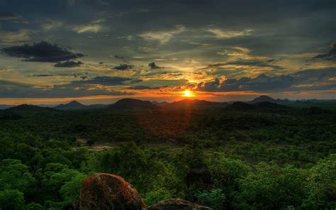 Forest Sunset Wallpapers Wallpaper Cave