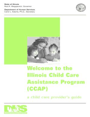 Please use the drop box on the front door of bevier hall off of goodwin avenue. Fillable Online ccrs illinois Welcome to the Illinois ...