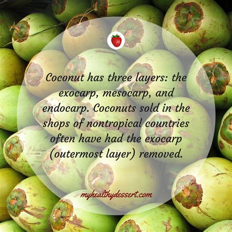 10 Interesting Facts About Coconuts My Healthy Dessert