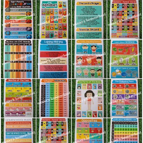 Laminated Educational Wall Charts For Kids A4 Colorful Nanays