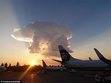 Cloud Formation Mimics Alaska Airlines Mascot Daily Mail Online