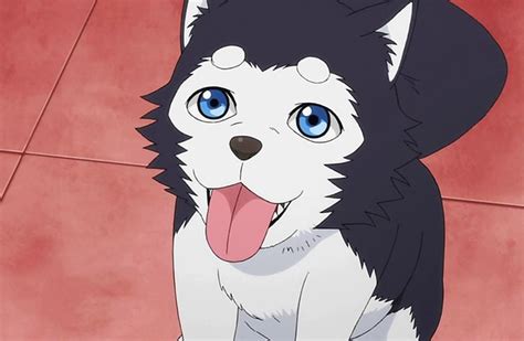 25 Best Anime Dogs Mans Best Friend In Anime Shows And Movies