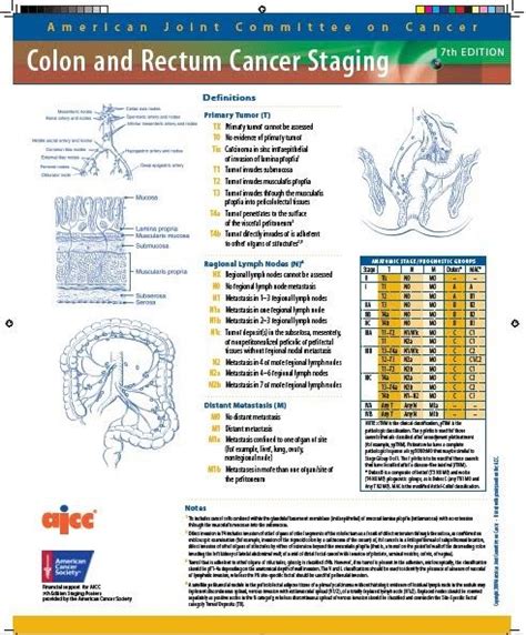 Ajcc Lung Cancer Staging 8th Edition Pdf