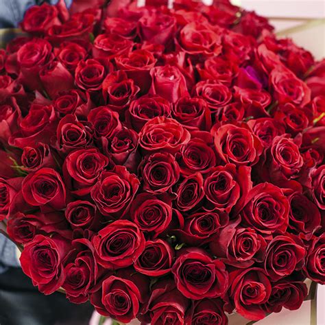 100 Red Roses Bouquet Order 100 Rose Bouquet Online