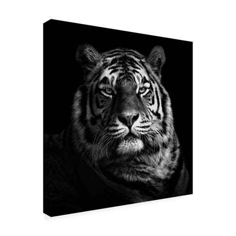 Ebern Designs Tiger On Canvas By Christian Meermann Graphic Art Wayfair
