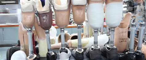 Curso De órtese E Prótese Na Aacd