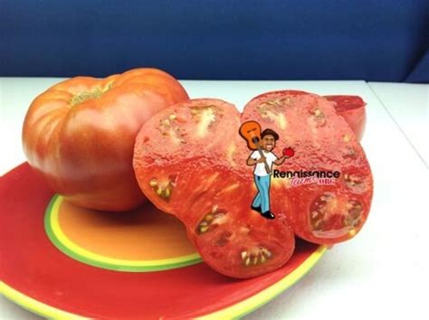 Mariannas Peace Tomato Seeds For Sale At Renaissance Farms