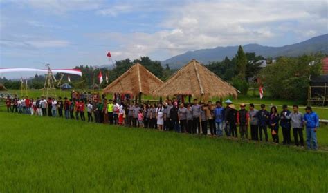 Peringati Hut Ri Merah Putih Meter Membentang Di Sawah Tondok