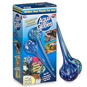 Aqua Globes AG011706 Glass Plant Watering Bulbs, 2 Pack: Amazon.ca 